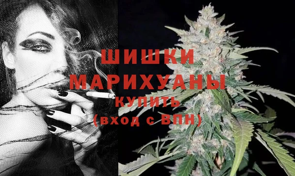 спиды Ростов
